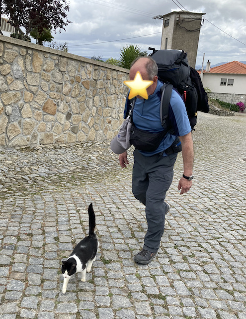 石畳の道を歩く初老の男性と、白黒の猫