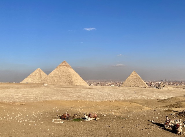 遠くに見える横に並んだ3つのピラミッドと、手前で座っている数匹のラクダ