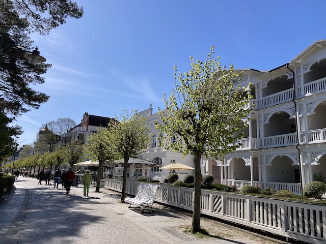 貸し別荘が並んだ綺麗な並木道