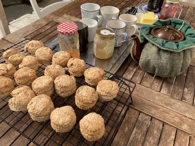 ケーキクーラーの上にのせられているスコーンと、紅茶とマグカップ