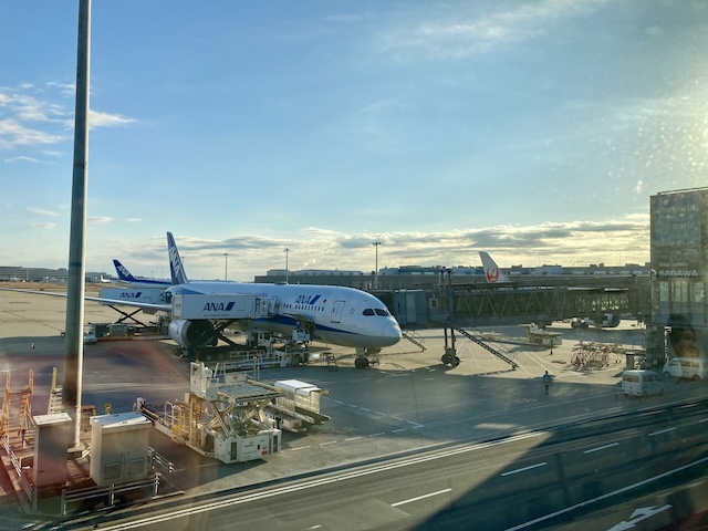 青空の下に停まっているANAの飛行機